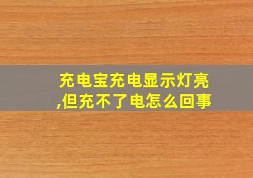 充电宝充电显示灯亮,但充不了电怎么回事