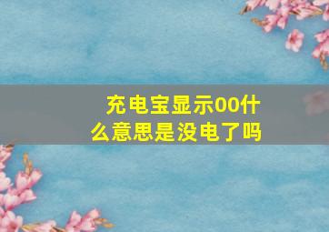 充电宝显示00什么意思是没电了吗