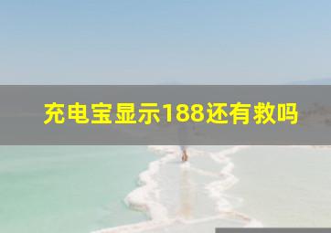 充电宝显示188还有救吗