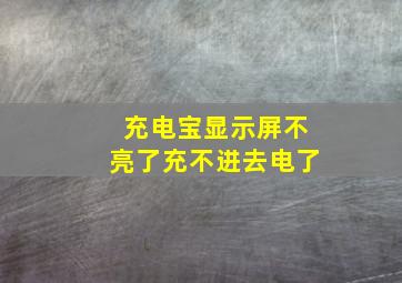 充电宝显示屏不亮了充不进去电了