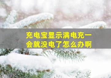 充电宝显示满电充一会就没电了怎么办啊