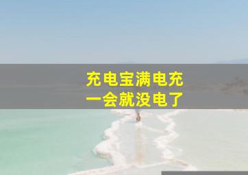 充电宝满电充一会就没电了