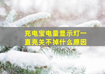 充电宝电量显示灯一直亮关不掉什么原因