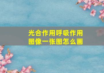 光合作用呼吸作用图像一张图怎么画