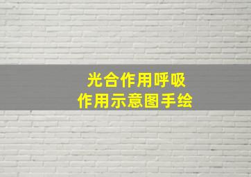 光合作用呼吸作用示意图手绘