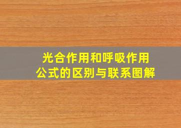 光合作用和呼吸作用公式的区别与联系图解