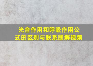 光合作用和呼吸作用公式的区别与联系图解视频