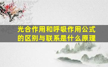 光合作用和呼吸作用公式的区别与联系是什么原理