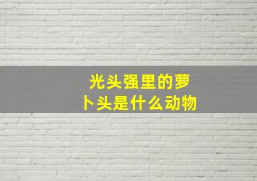 光头强里的萝卜头是什么动物