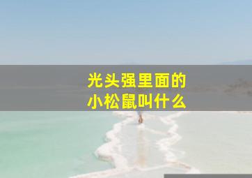 光头强里面的小松鼠叫什么