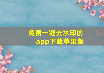 免费一键去水印的app下载苹果版