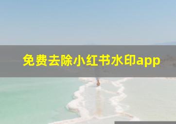 免费去除小红书水印app