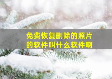 免费恢复删除的照片的软件叫什么软件啊