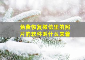 免费恢复微信里的照片的软件叫什么来着