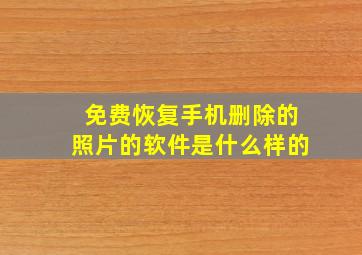 免费恢复手机删除的照片的软件是什么样的