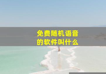 免费随机语音的软件叫什么