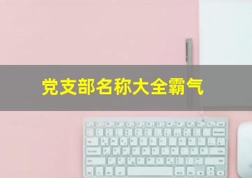 党支部名称大全霸气