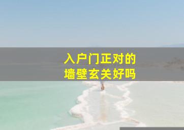 入户门正对的墙壁玄关好吗