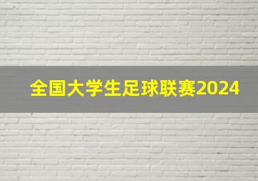 全国大学生足球联赛2024