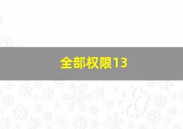 全部权限13