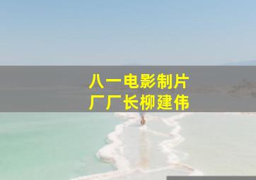 八一电影制片厂厂长柳建伟