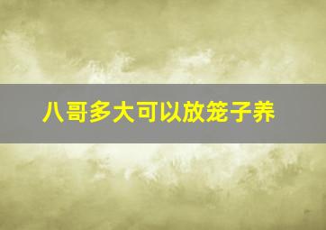 八哥多大可以放笼子养