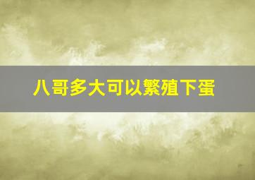 八哥多大可以繁殖下蛋