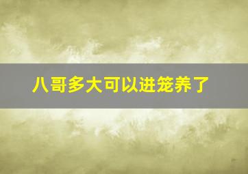 八哥多大可以进笼养了