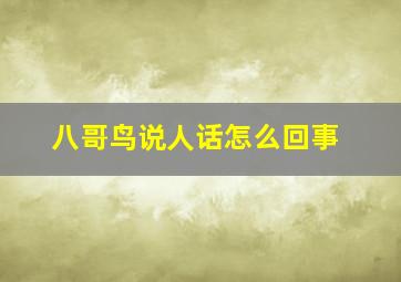 八哥鸟说人话怎么回事