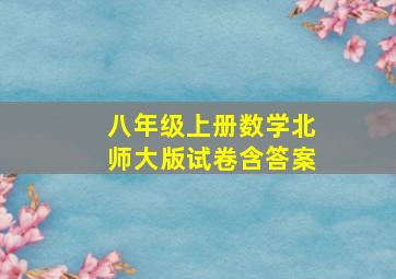 八年级上册数学北师大版试卷含答案