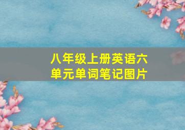 八年级上册英语六单元单词笔记图片