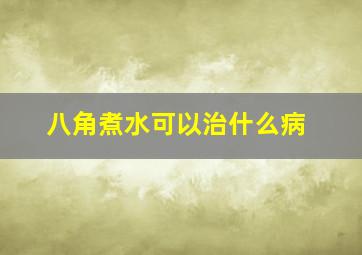 八角煮水可以治什么病