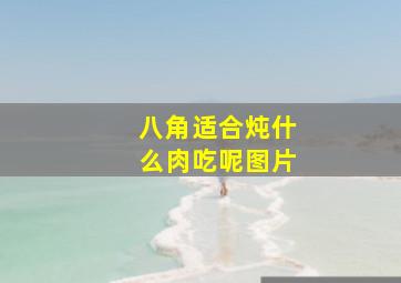 八角适合炖什么肉吃呢图片