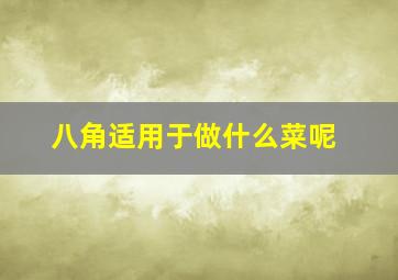 八角适用于做什么菜呢