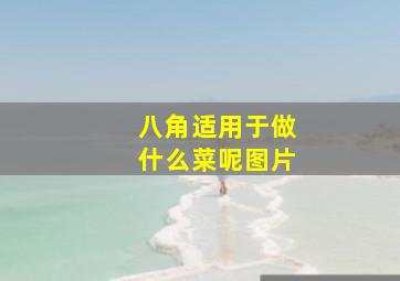 八角适用于做什么菜呢图片