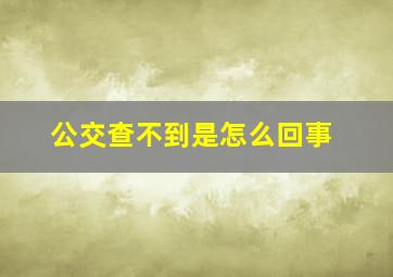 公交查不到是怎么回事