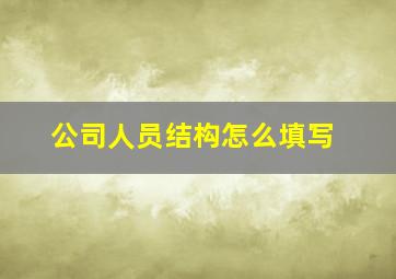 公司人员结构怎么填写