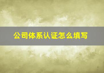 公司体系认证怎么填写