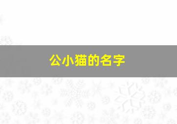 公小猫的名字