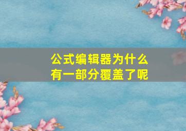 公式编辑器为什么有一部分覆盖了呢