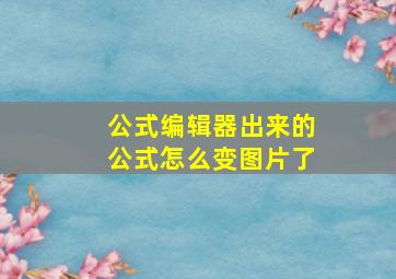 公式编辑器出来的公式怎么变图片了