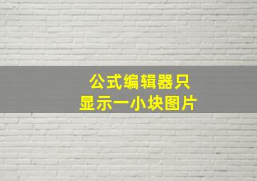 公式编辑器只显示一小块图片