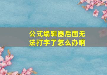 公式编辑器后面无法打字了怎么办啊