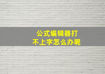 公式编辑器打不上字怎么办呢