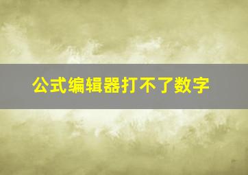 公式编辑器打不了数字