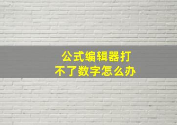 公式编辑器打不了数字怎么办