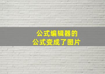 公式编辑器的公式变成了图片