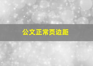 公文正常页边距