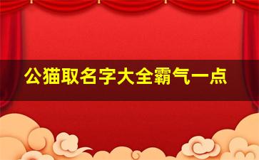 公猫取名字大全霸气一点