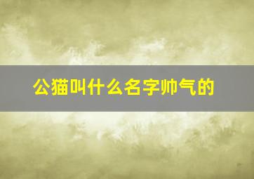 公猫叫什么名字帅气的